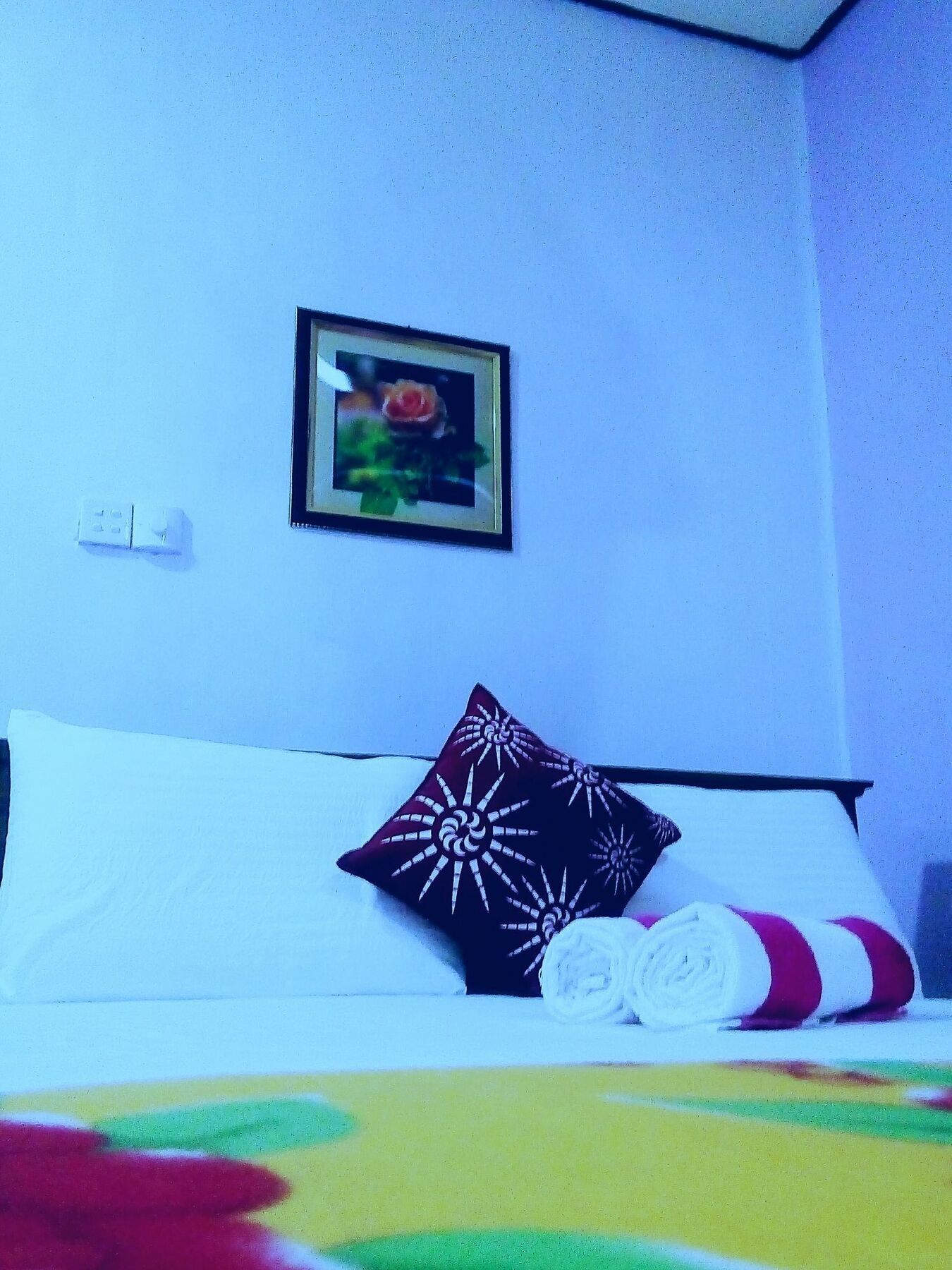 Gloriya Mathews Otel Negombo Dış mekan fotoğraf